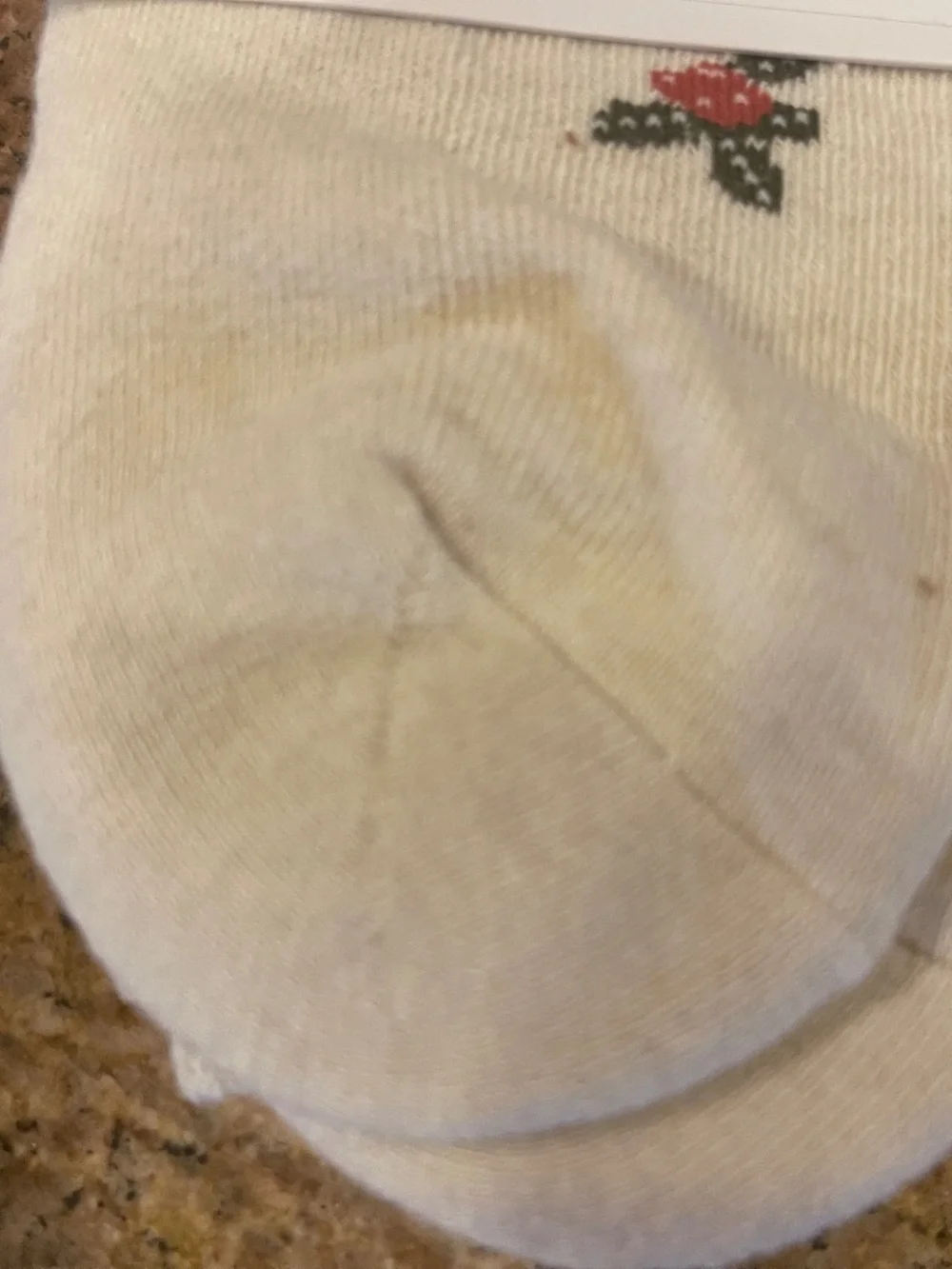 NEW! Pact Ditzy Holly  Premium Crew Socks Two Pair NWT!